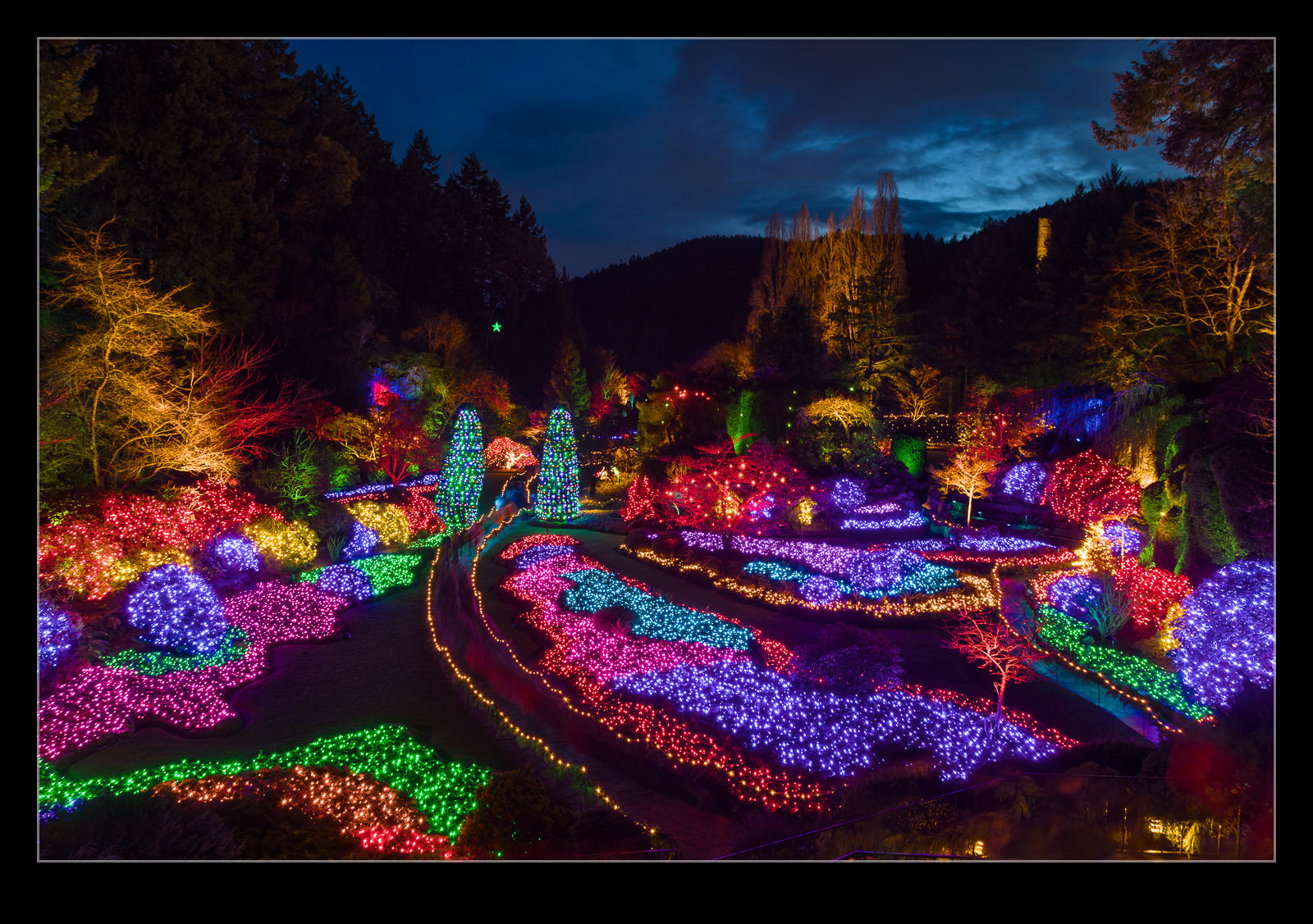 Butchart Gardens Christmas Lights RobsBlogs Butchart Gardens Christmas Lights RobsBlogs